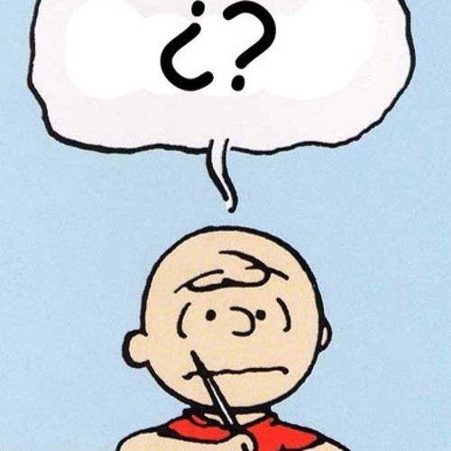 PAUTAS DE COMUNICACIÓN