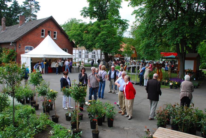 Musik im Museumsgarten