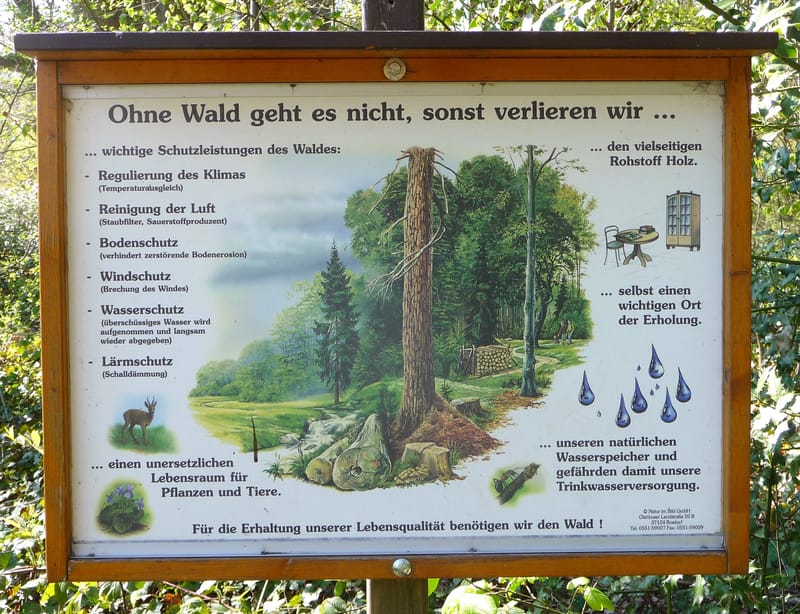 Der Waldlehrpfad