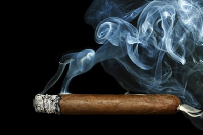 Factors to Consider When Choosing the Best Cigar