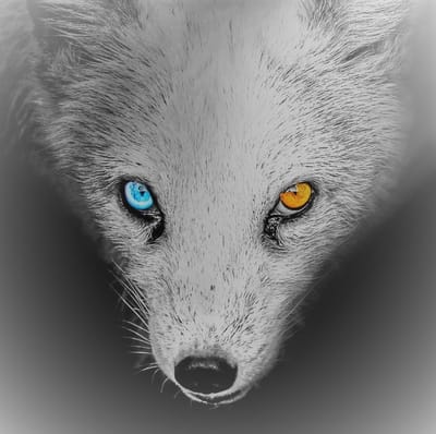 Cloudfox