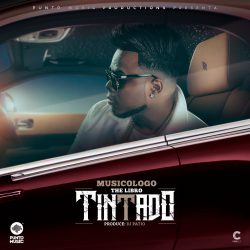 Musicologo The Libro - Tintado