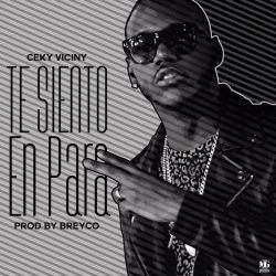 Ceky Viciny - Te Siento En Para (Prod. By Breyco)