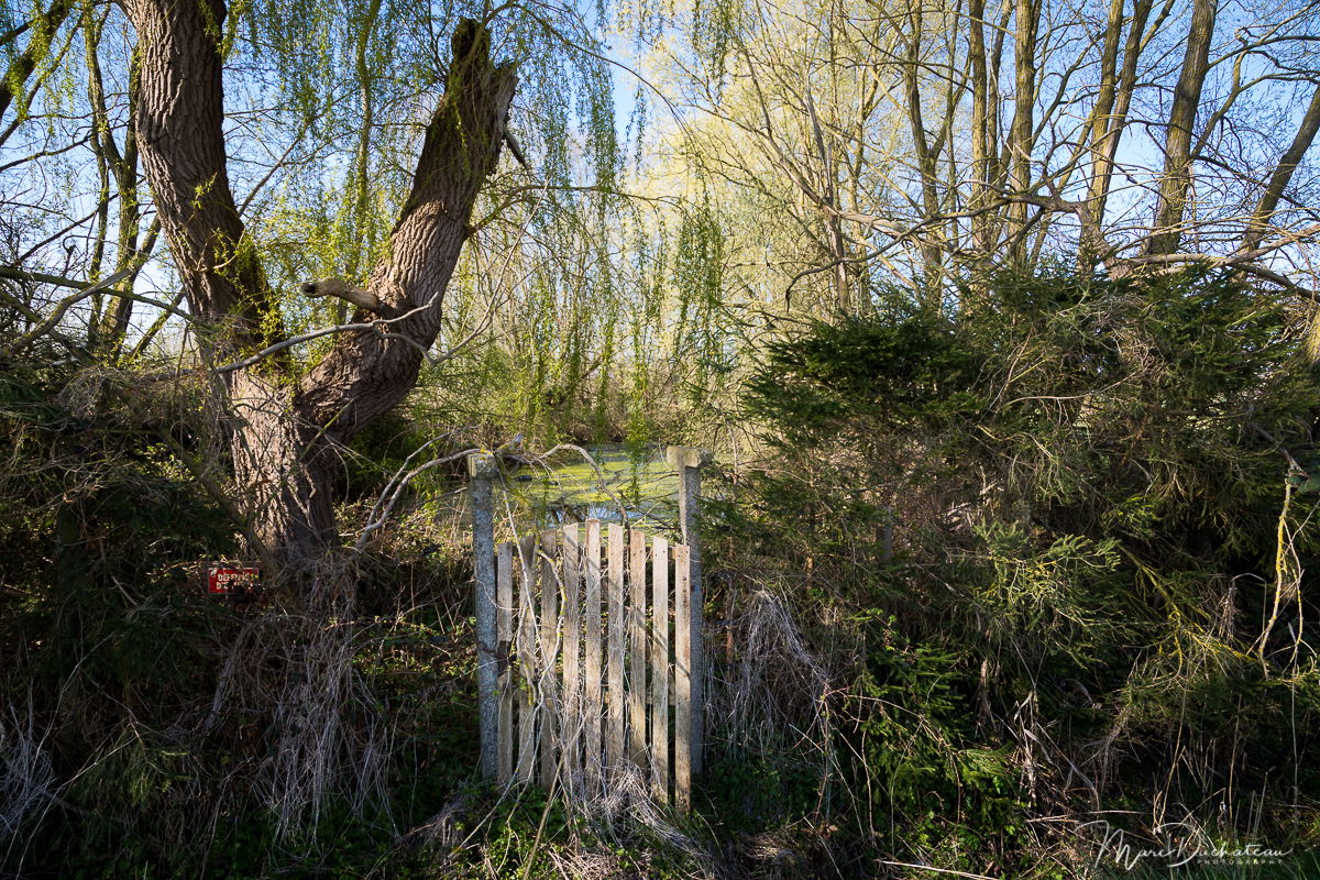 Jardin secret