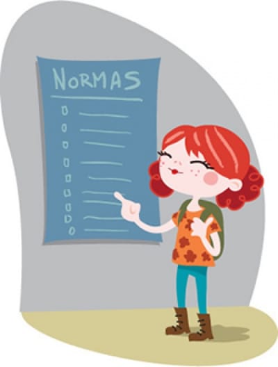 Normas de Organización y Funcionamiento (NOF)