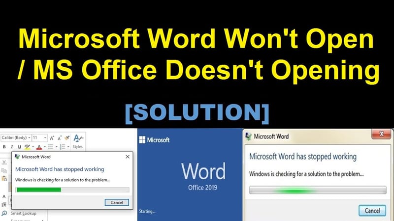 Microsoft Word won't open