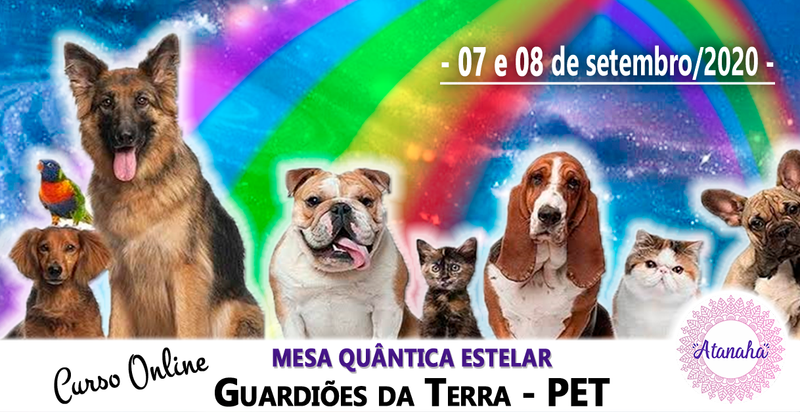 Curso de Mesa Quântica Estelar PET Online