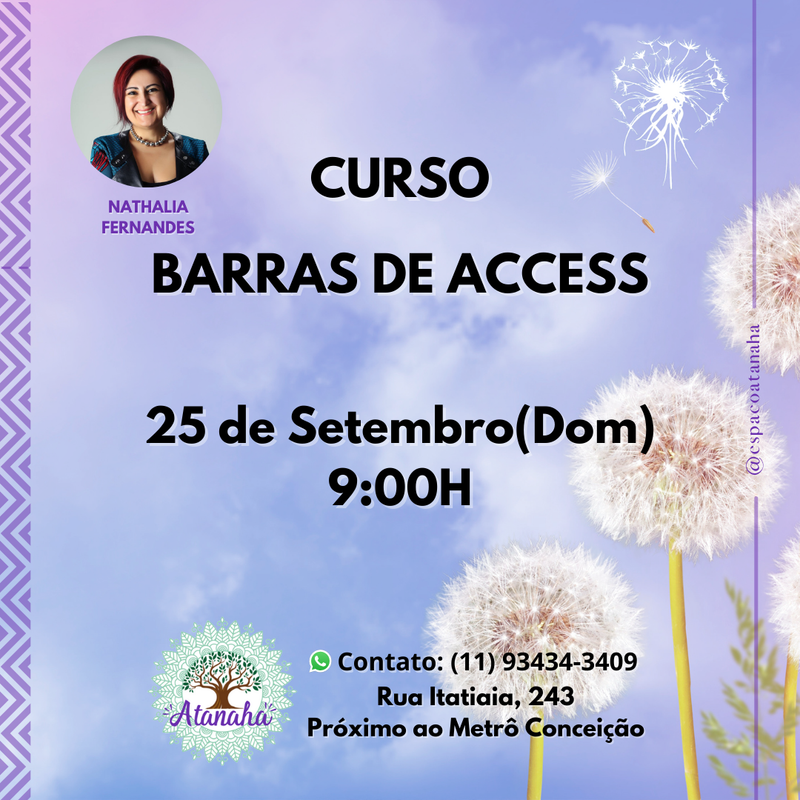 CURSO BARRAS DE ACCESS