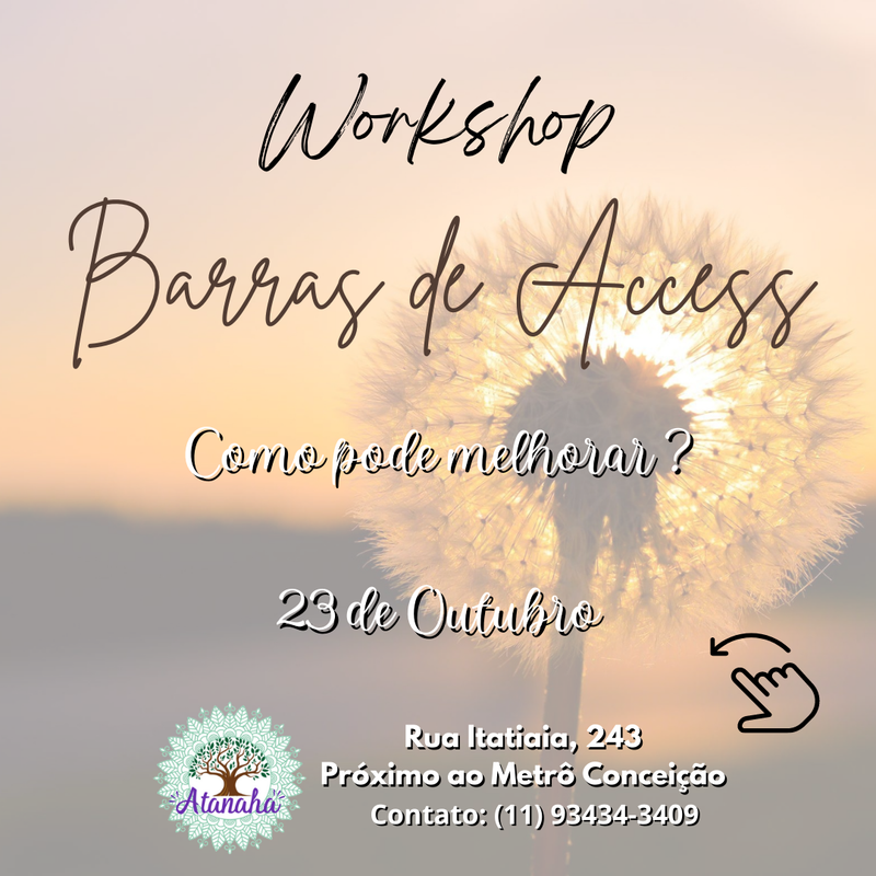 WORKSHOP BARRAS DE ACCESS