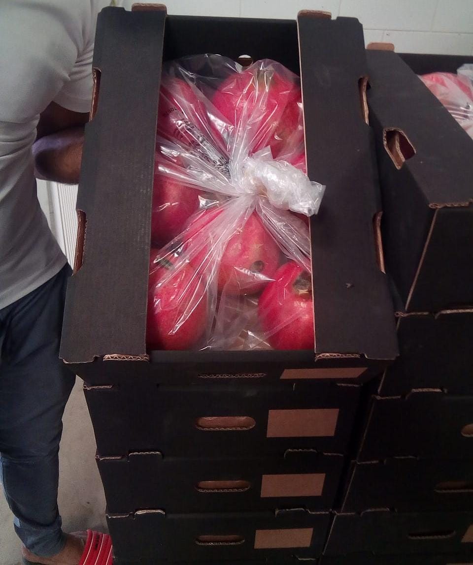 Wonderful Pomegranate