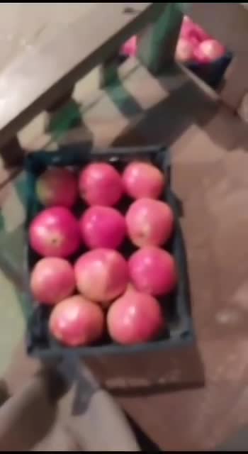 Baldi  😋 Pomegranate