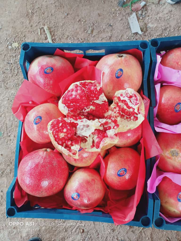 Baldi  😋 Pomegranate