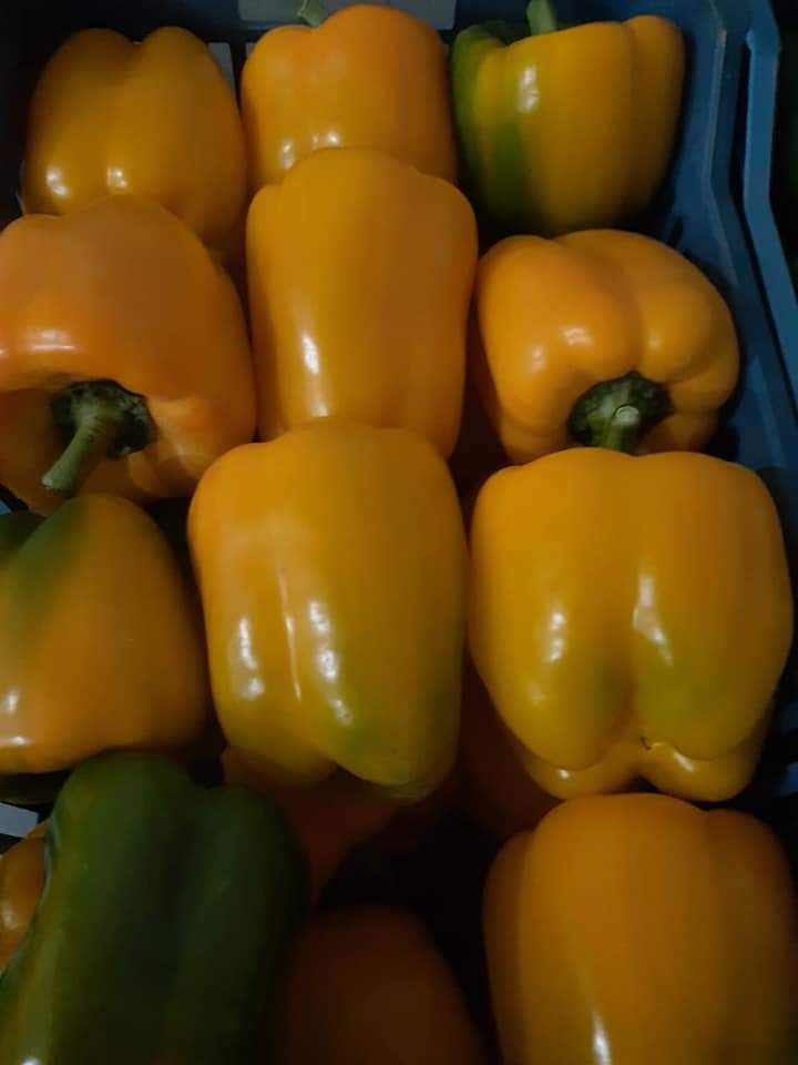 Coloured Peppers
