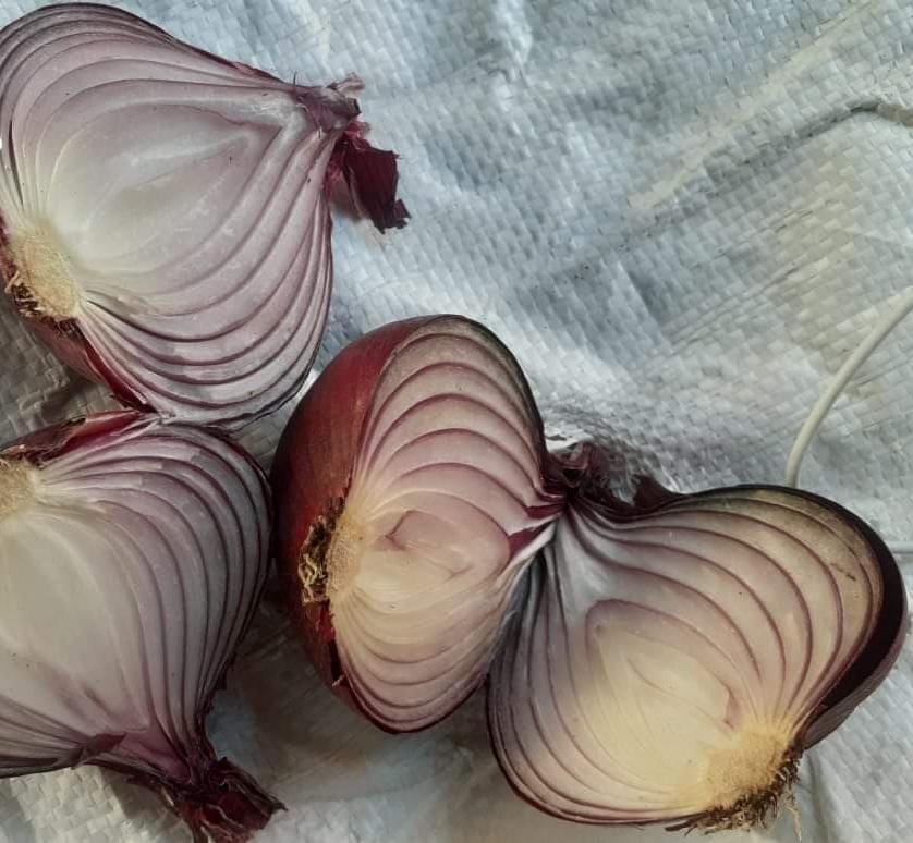Red onions 