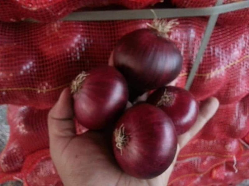 Red Onions