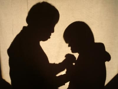 SEXUALIDAD EN LA DISCAPACIDAD INTELECTUAL