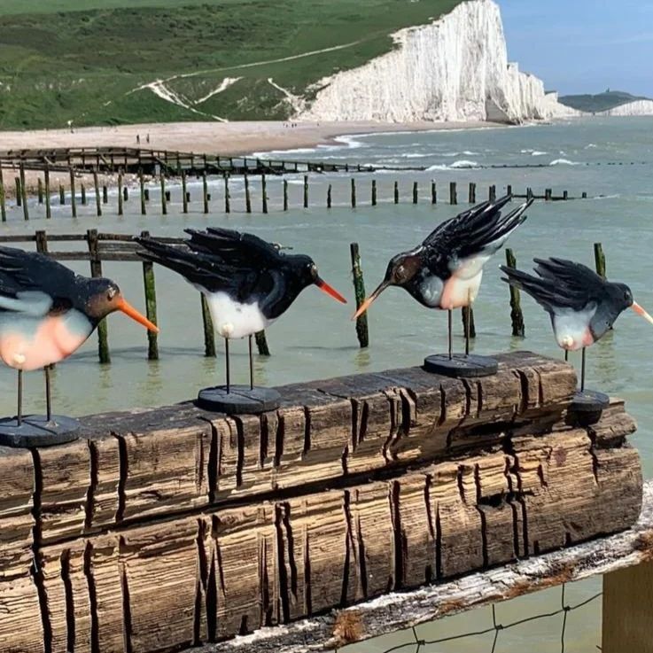 Resin oystercatchers