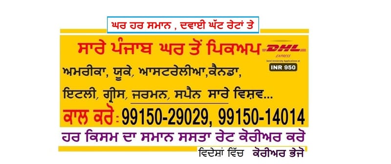 International Courier service to Worldwide from All Punjab free Home Pickup Call: +919915014014 or +919915029029