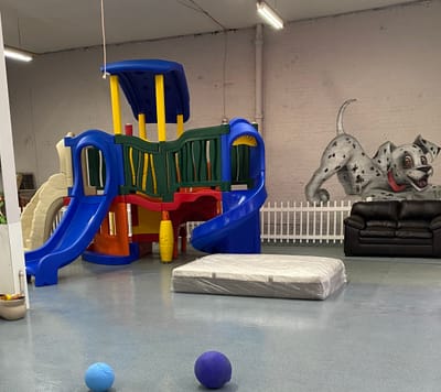 Indoor Dog Run image