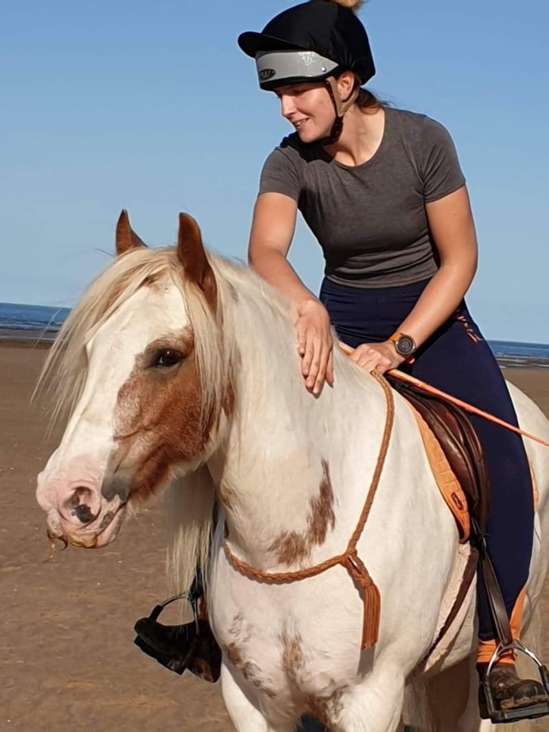 So Who Is Abbotts View Livery?