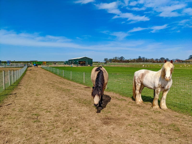 Grass! The time to act IS NOW