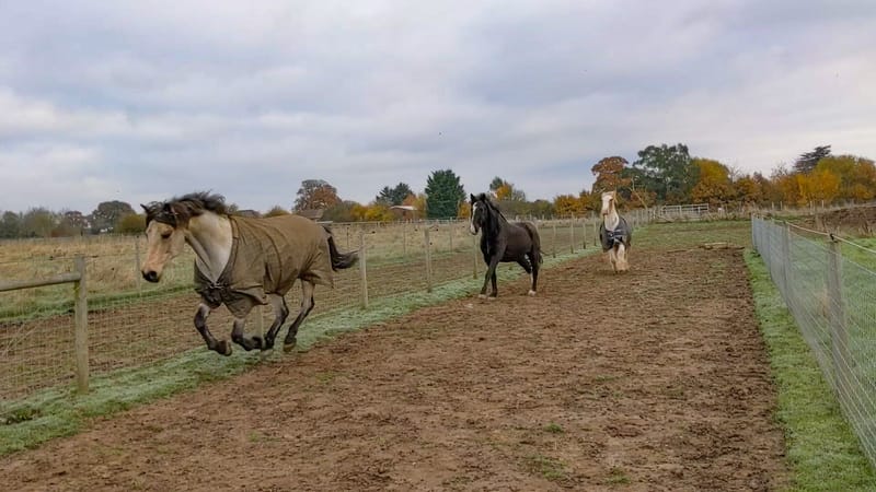 Unsurfaced Track System?