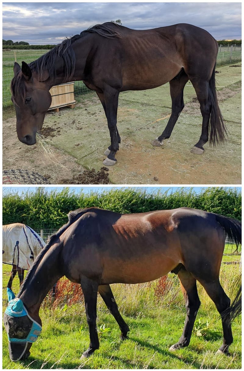 Track Systems aren't just for 'fatties'!