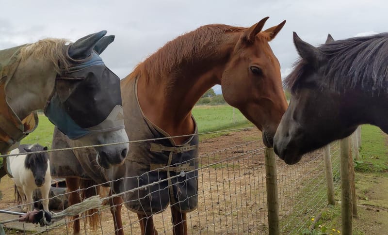 Introducing little Jim - continued