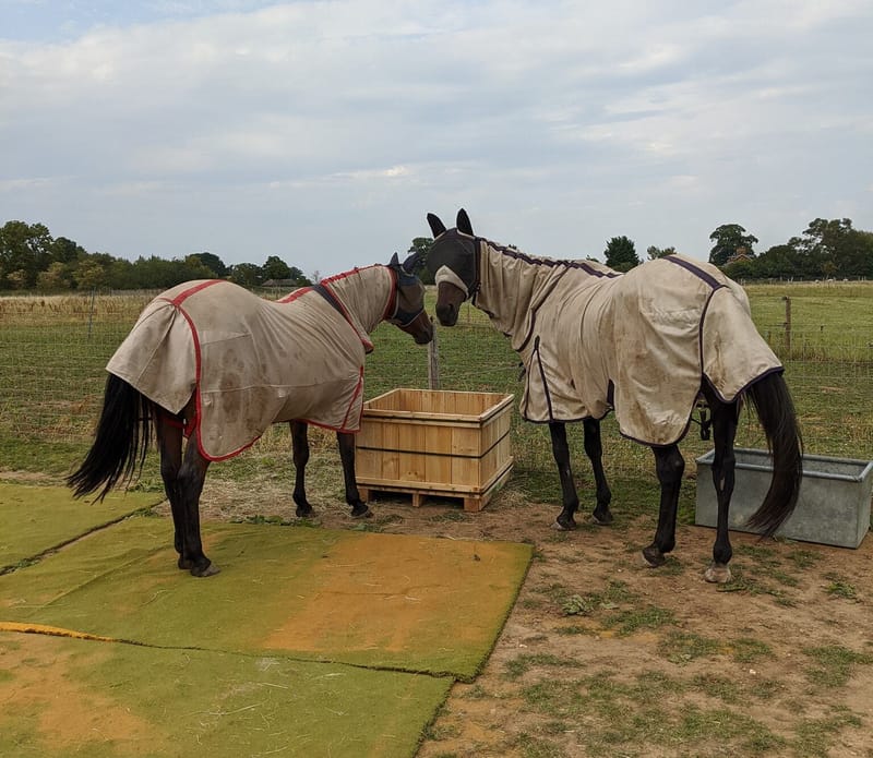 Everyday is a school day!