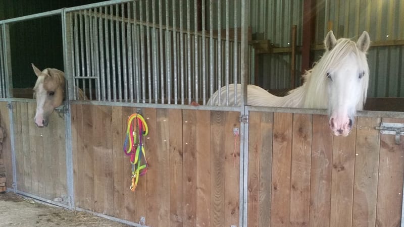 Three more weeks of isolation