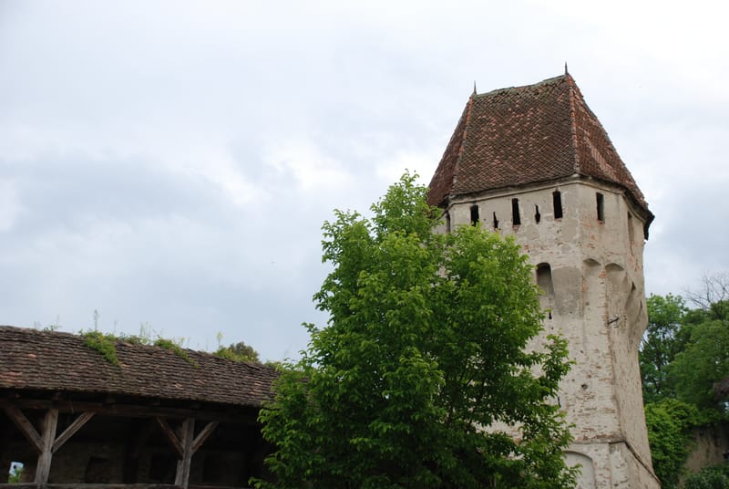 The Fortifications and the Remaining Towers