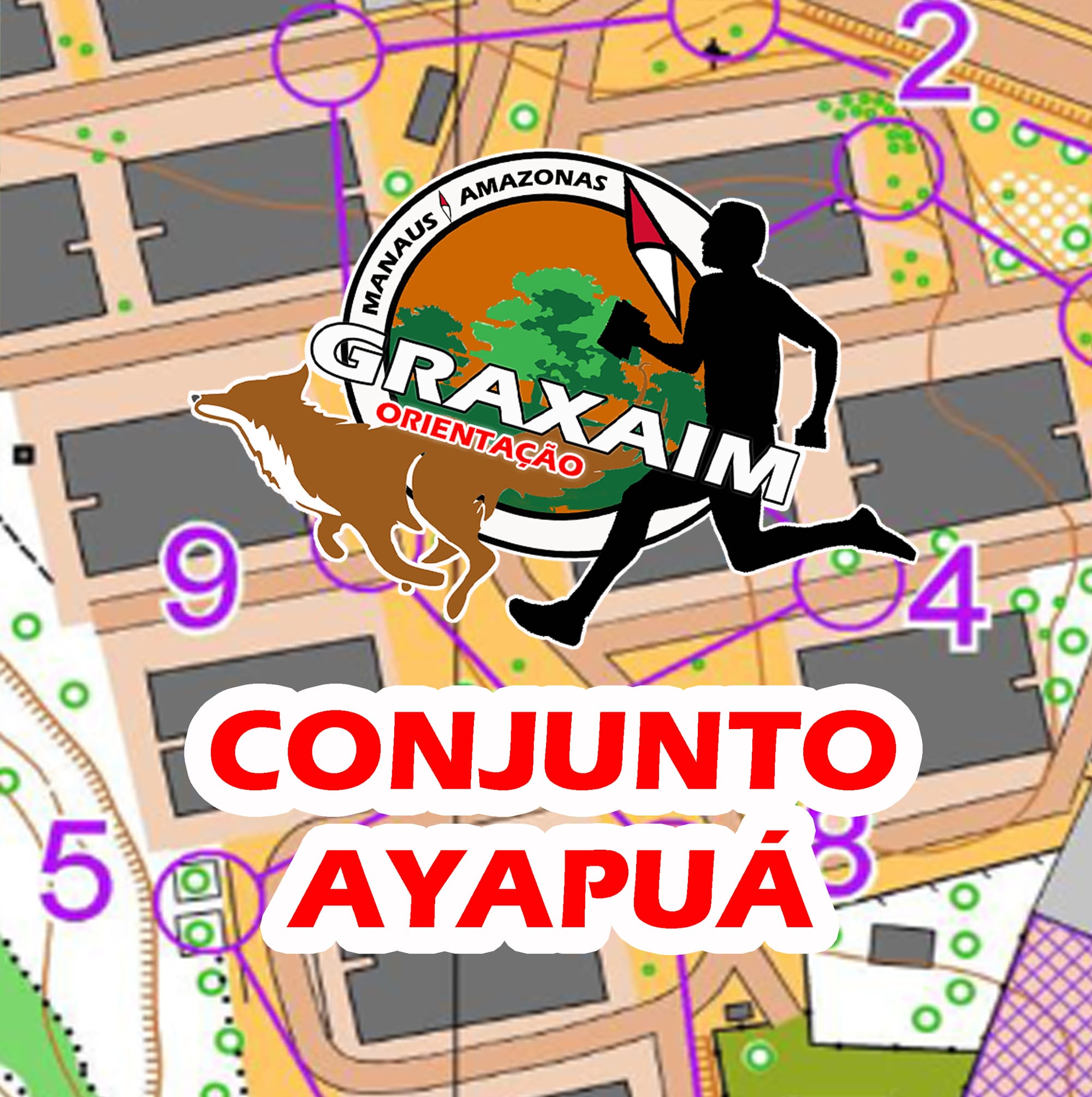 CONJUNTO AYAPUÁ