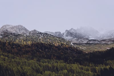 Zaplecza image