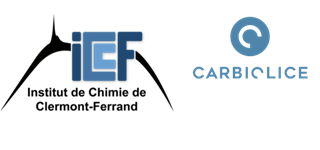 Résumé des conférences autour du thème des polymères biodégradables