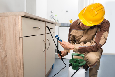 شركة مكافحة حشرات وقوارض بحفر الباطن 0500222898