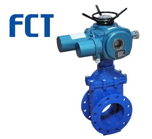 Valve Review: Wedge Gate Valve