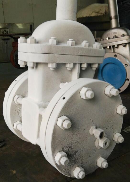 FCT Cryogenic Gate Valve