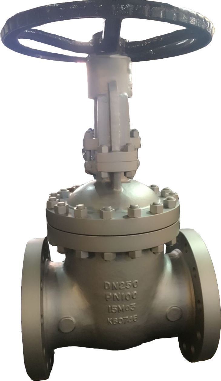 FCT DIN Gate Valve