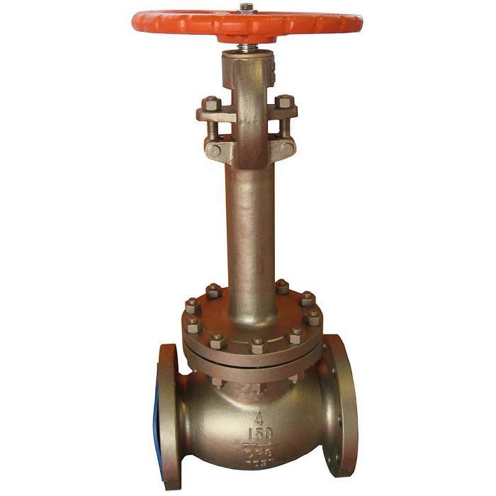 FCT Cryogenic Globe Valve