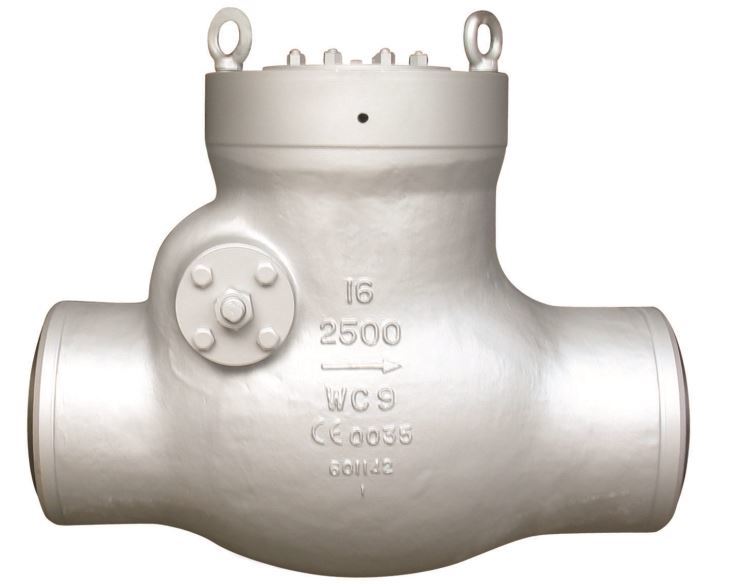 FCT Pressure Seal Swing Check Valve