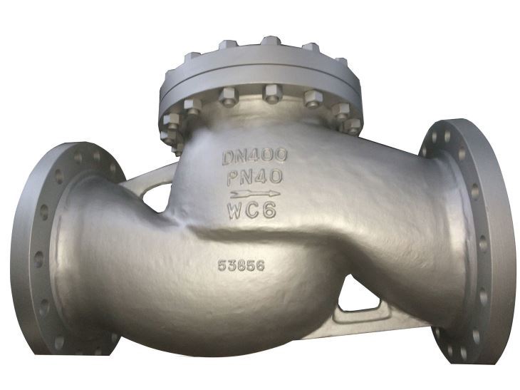 FCT Lift Check Valve