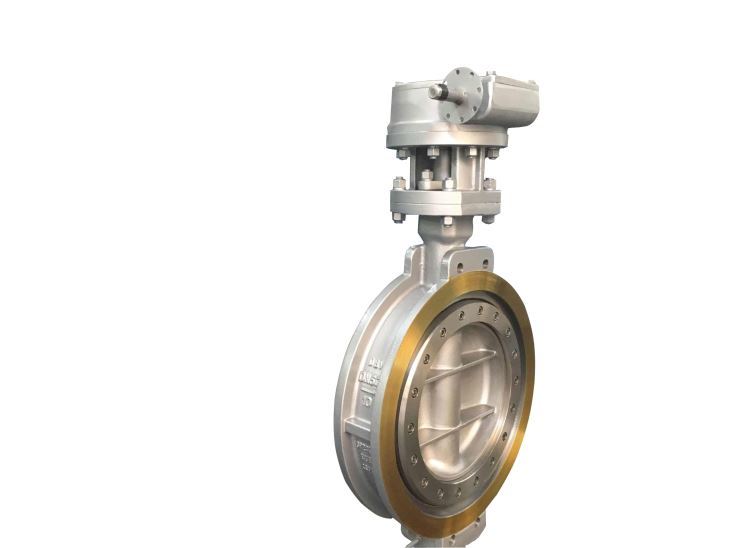 FCT Triple Offset Butterfly Valve