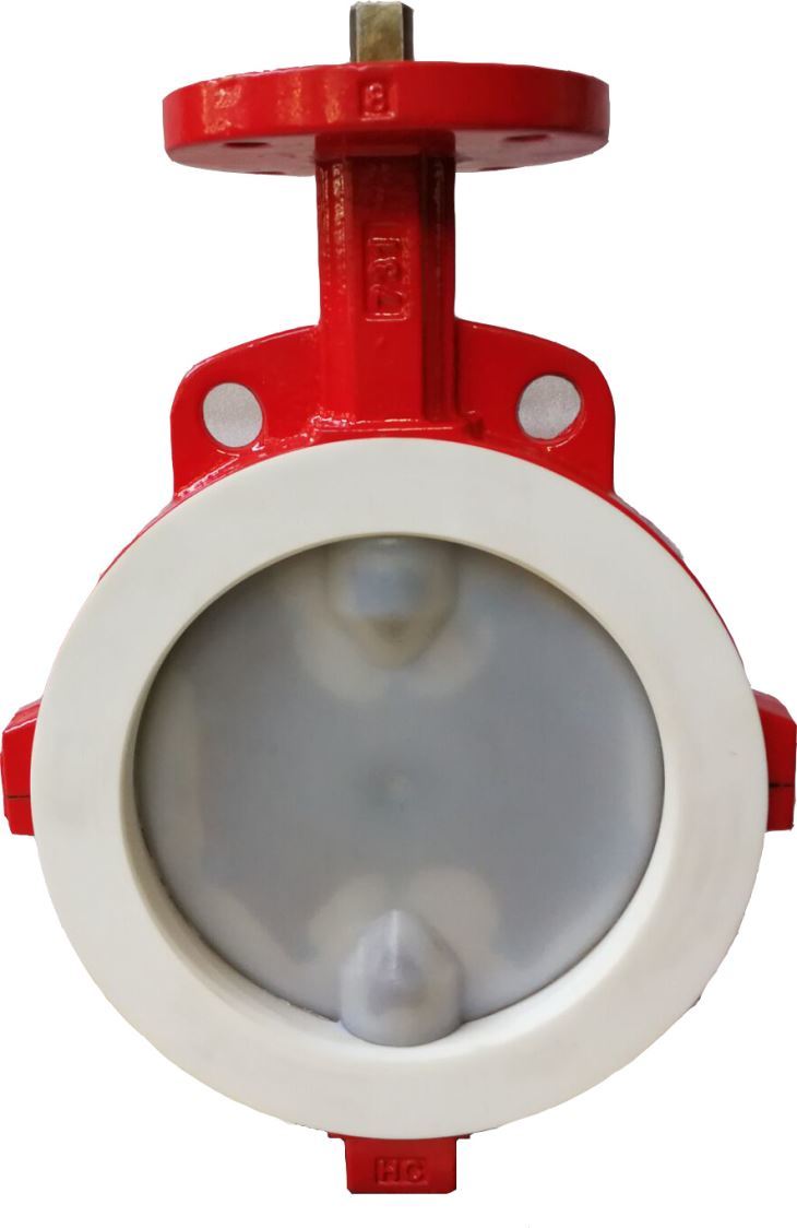 FCT PTFE Lined Butterfly Valve