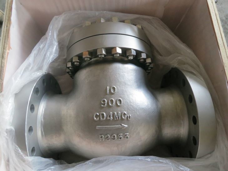 FCT CD4MCu Check Valve