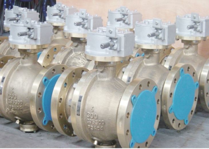 FCT C95500 Ball Valve