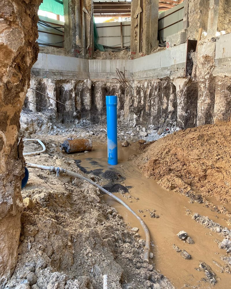 פרויקט השקם יפו