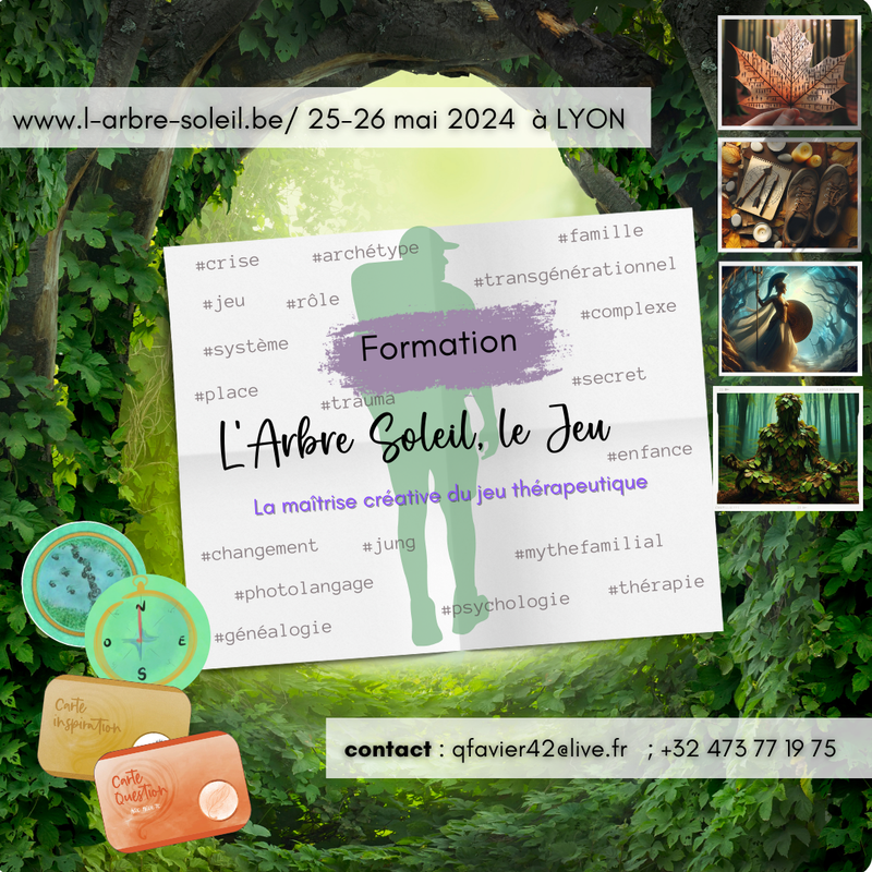 Formation L'Arbre Soleil, le Jeu