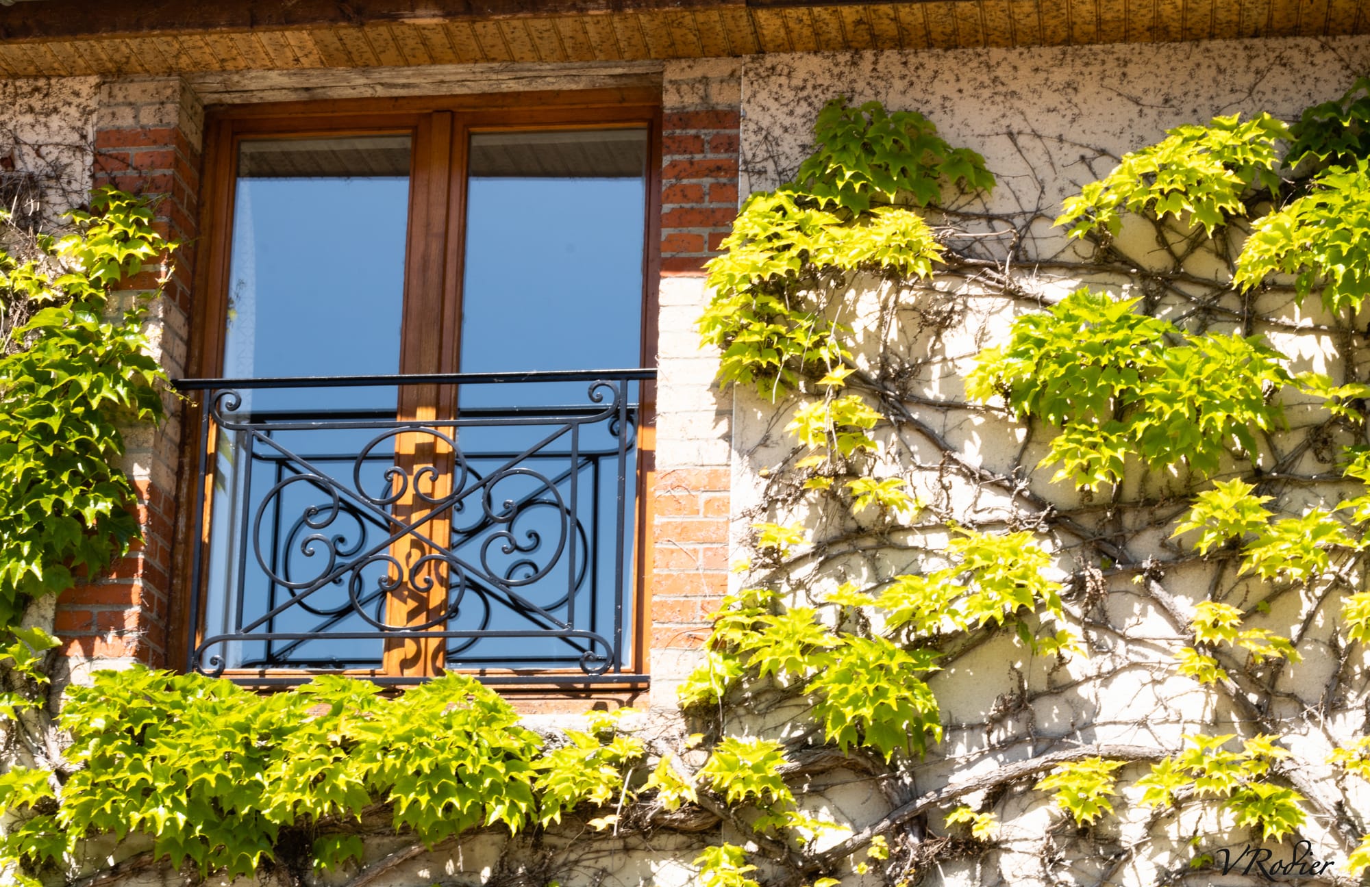 Gîte l'Orée des vignes - Marne