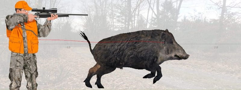 BIEN TIRER LE GRAND GIBIER !