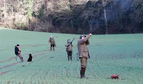 LE TIR DES OISEAUX EN BATTUE